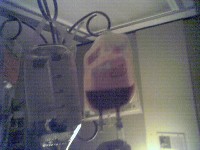 The Bone Marrow Being Transfused (The Transplant)