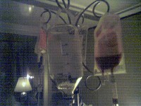 The Bone 	Marrow Being Transfused (The Transplant)