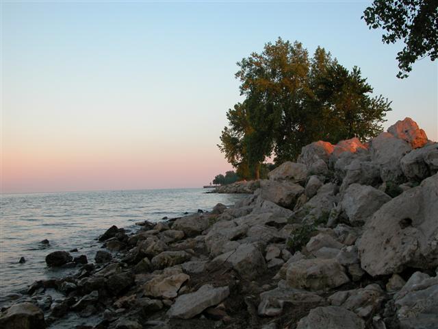 Pictures