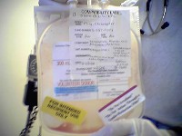 Another Pic Of The Empty Marrow Bag (Blury)